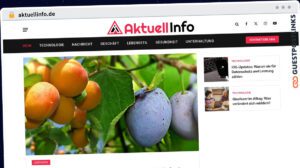 Publish Guest Post on aktuellinfo.de