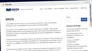 Publish Guest Post on brzn.de