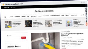 Publish Guest Post on businessescolumn.com