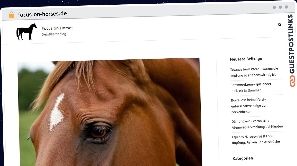 Publish Guest Post on focus-on-horses.de