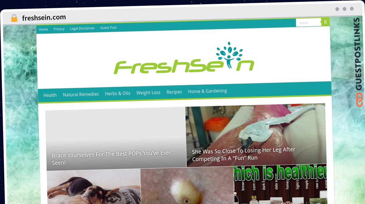 Publish Guest Post on freshsein.com