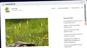 Publish Guest Post on hanniwall.de
