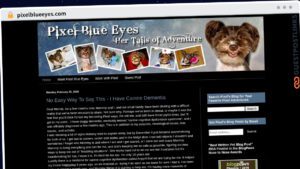 Publish Guest Post on pixelblueeyes.com