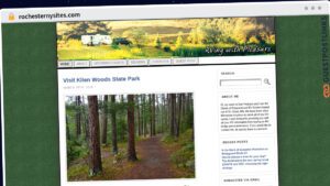 Publish Guest Post on rochesternysites.com