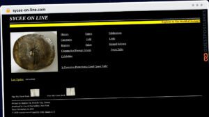 Publish Guest Post on sycee-on-line.com