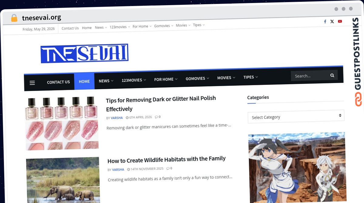 Publish Guest Post on tnesevai.org