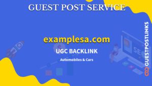 Buy Guest Post on examplesa.com