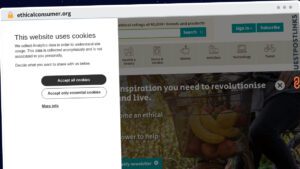 Publish Guest Post on ethicalconsumer.org