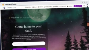 Publish Guest Post on lonerwolf.com
