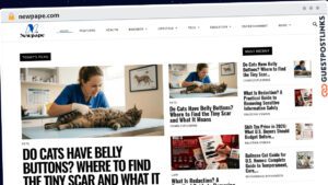 Publish Guest Post on newpape.com