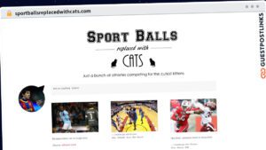 Publish Guest Post on sportballsreplacedwithcats.com