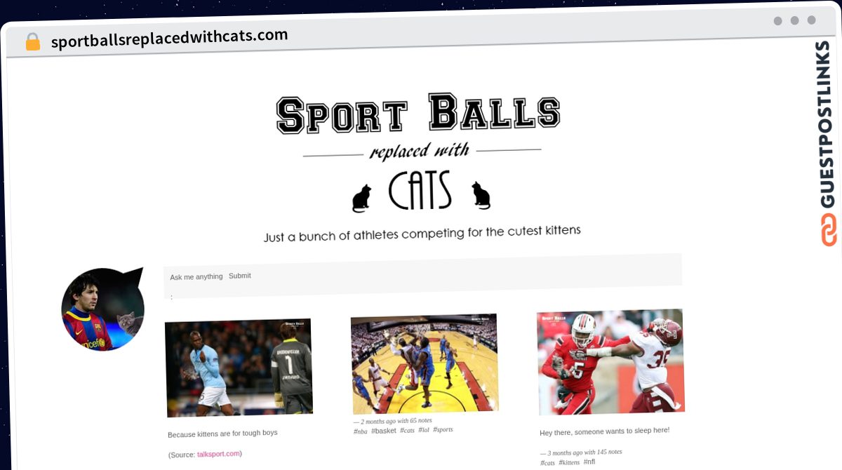 Publish Guest Post on sportballsreplacedwithcats.com