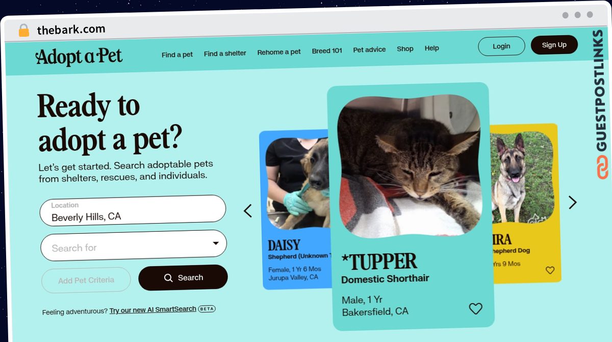 Publish Guest Post on thebark.com
