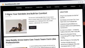 Publish Guest Post on theshittymedia.com