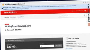 Publish Guest Post on writingessayservices.com