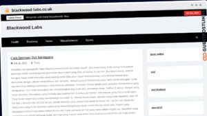 Publish Guest Post on blackwood-labs.co.uk