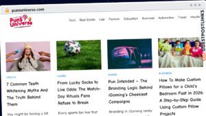 Publish Guest Post on punsuniverse.com