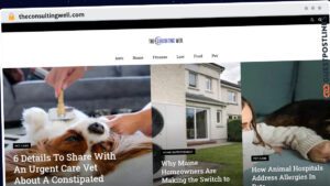 Publish Guest Post on theconsultingwell.com