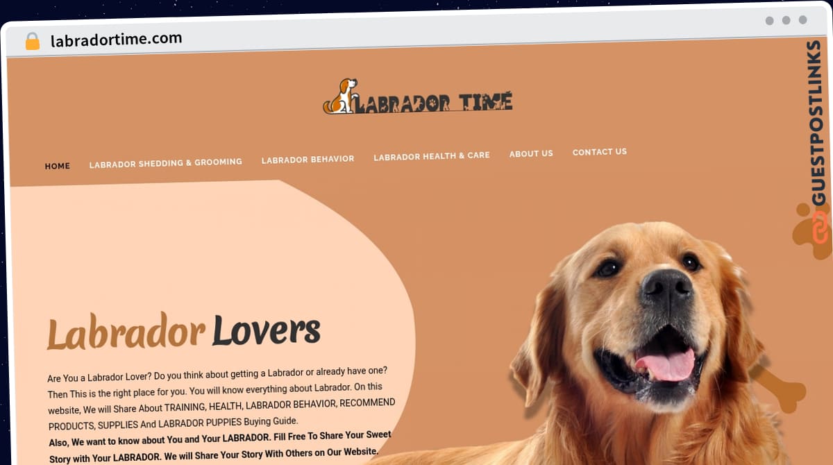 Publish Guest Post on labradortime.com