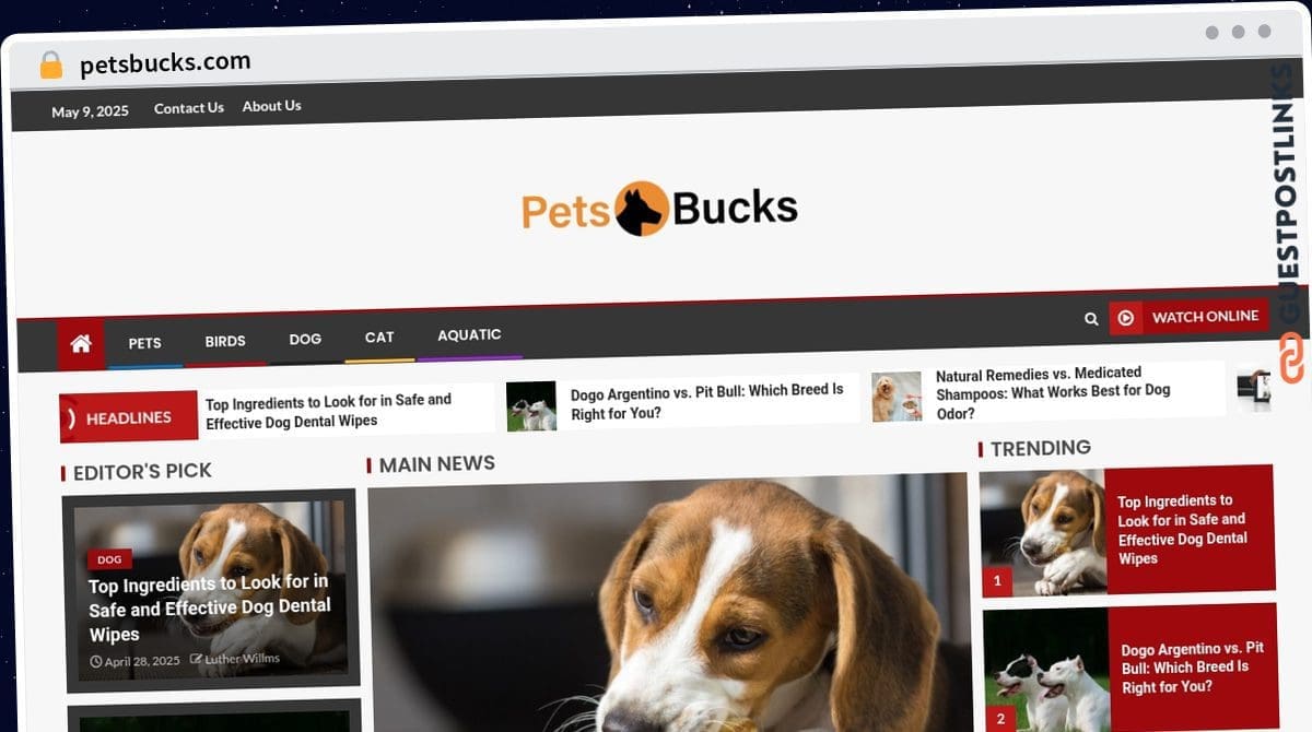 Publish Guest Post on petsbucks.com