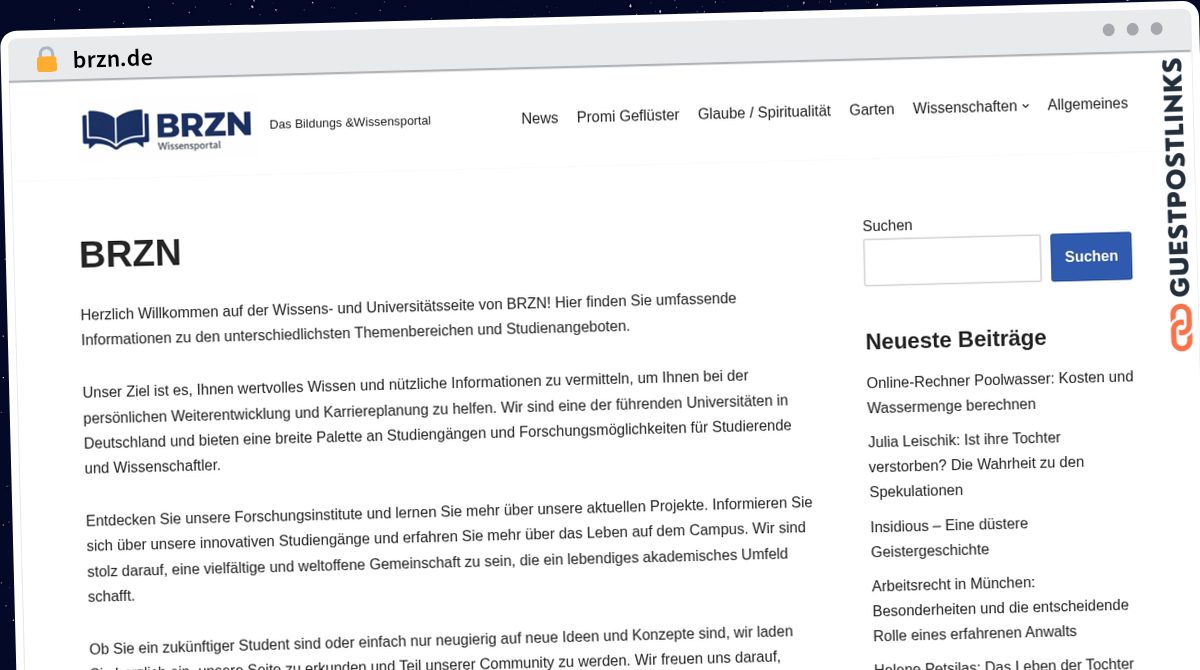 Publish Guest Post on brzn.de