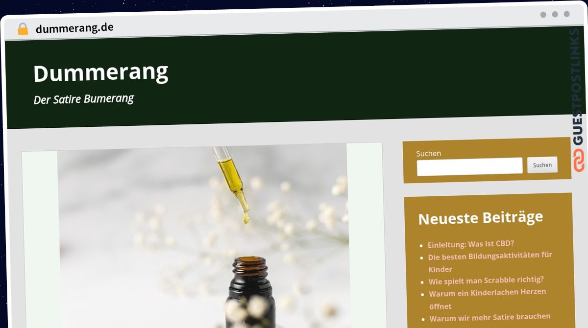 Publish Guest Post on dummerang.de