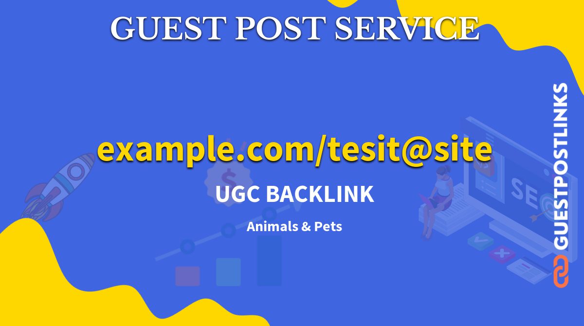 Buy Guest Post on example.com/tesit@site