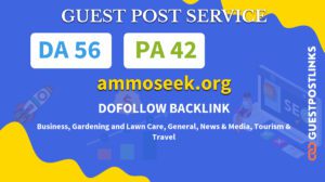 Buy Guest Post on ammoseek.org