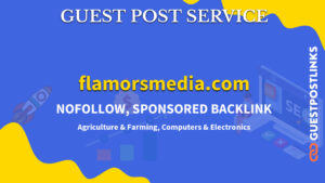 Buy Guest Post on flamorsmedia.com