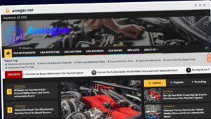 Publish Guest Post on amegas.net