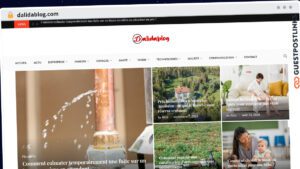 Publish Guest Post on dalidablog.com
