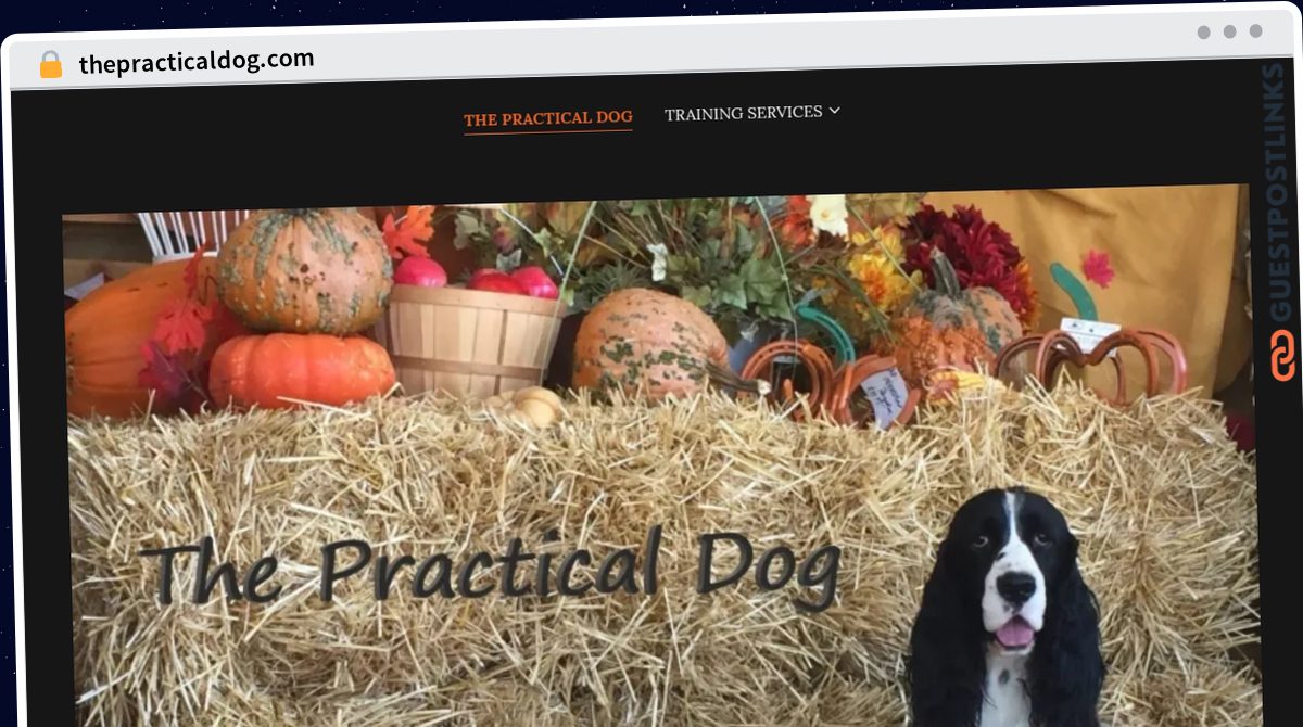 Publish Guest Post on thepracticaldog.com